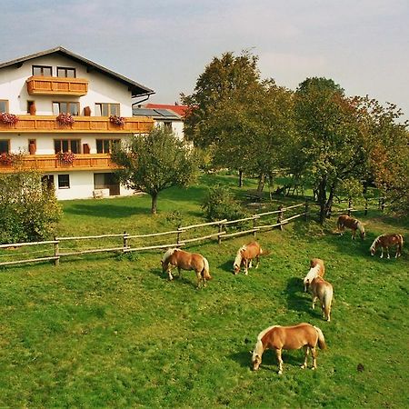 Biobauernhof Wolf-Hof Daire Pressbaum Dış mekan fotoğraf